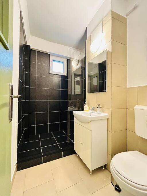 טימישוארה Cosy Apartment #12Lunipebega מראה חיצוני תמונה