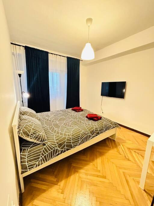 טימישוארה Cosy Apartment #12Lunipebega מראה חיצוני תמונה
