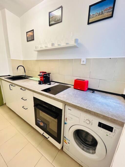 טימישוארה Cosy Apartment #12Lunipebega מראה חיצוני תמונה